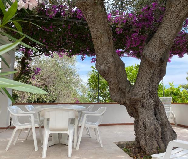 Terrazza con tavolo bianco sotto un albero fiorito.