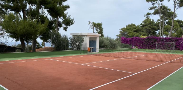 Campo da tennis con rete e alberi attorno.